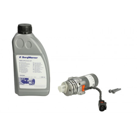 Set reparatie, diferential Differential assembly repair kit with oil VOLVO S60 II S60 III S80 II S90 II V40 V60 I V60 II V70 III V90 II XC40 XC60 I XC60 II XC70 II XC90 II 2.0-3.2 08.07- BORG WARNER BW2002774_2000884